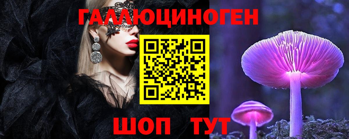 Псилоцибиновые грибы Magic Shrooms  Вход с VPN  Новороссийск 