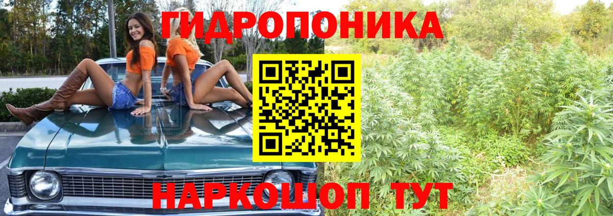 Бошки Шишки MAZAR  Вход с VPN  Новороссийск  Каннабис LSD WEED  Конопля White Widow 